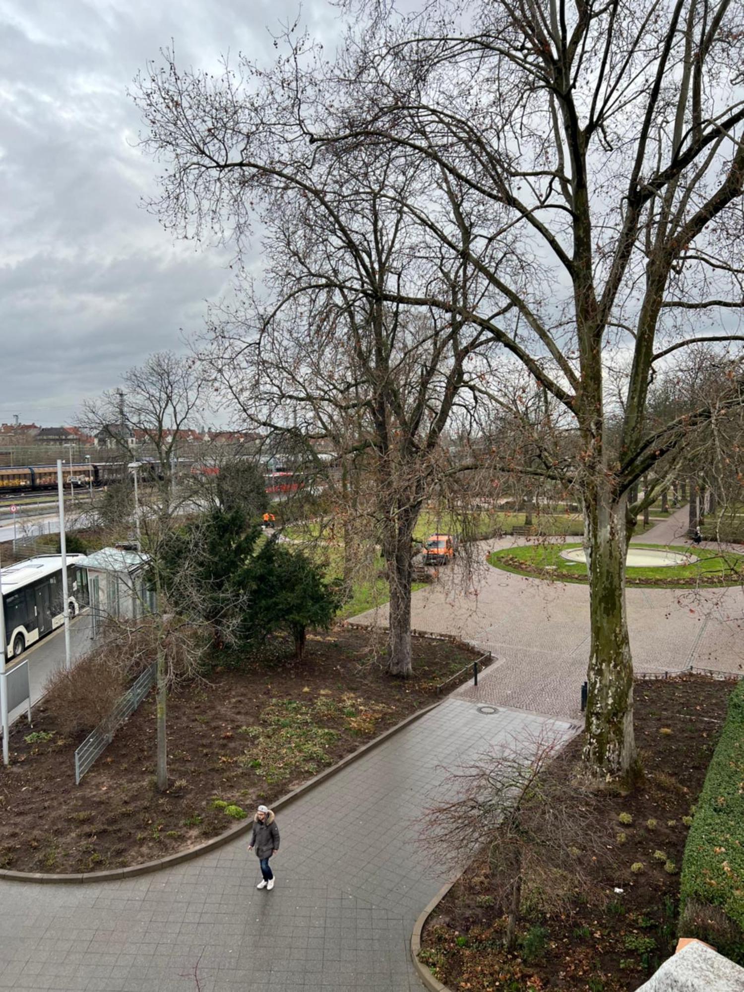 Albert-Schulte-Park Apartment- Worms Eksteriør billede